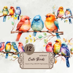 Aquarel schattige vogels op tak clipart, vogels clipart bundel, kleurrijke vogels PNG, lente vogels, kaart maken, mixed media, digitale stickers