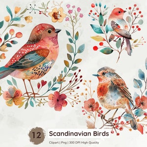 Clipart de pássaros escandinavos, pássaro floral png, clipart aquarela para impressão, pássaros coloridos Jpg, mídia mista, diários indesejados, download digital