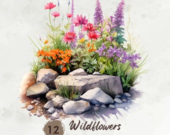 Clipart di fiori di campo, bundle di clipart di aiuola selvatica dell'acquerello, clipart primaverile, clipart floreale, fiori di campo stampabili, download multimediale misto