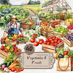 Aquarelle Légumes Clipart, Clipart fruits de caisse en bois, boîte de légumes Png, Clipart ferme, Clipart jardin, alimentation saine, téléchargement numérique