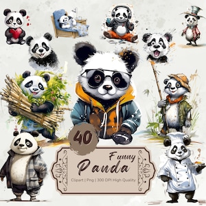 Panda Panda Clipart