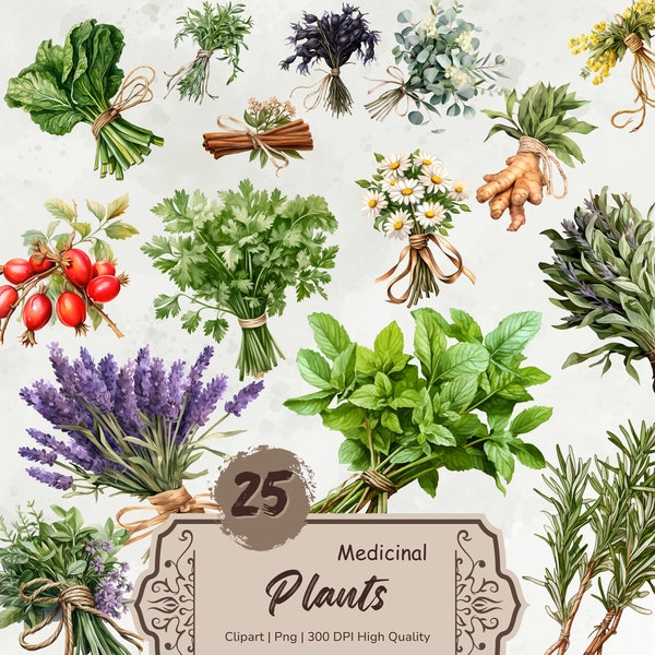 Watercolor Medicinal Herbs Clipart, Plants Clipart, Bunch of Herbs Png, Healing Herb Bundle, Botanical Clipart, Plants Digital Stickers