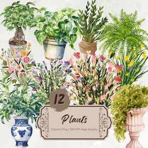 Watercolor Plants Clipart, Potted Plants Png, House Plants Clipart, Greenery Digital Stickers, Card Making, Plant Decor Png,Digital Download