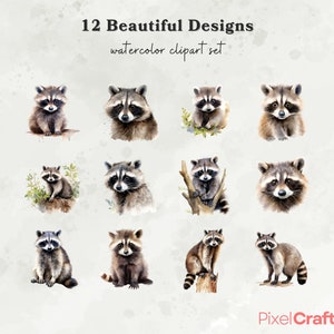 Puede incluir: Doce ilustraciones de acuarela de mapaches en varias poses. Algunos mapaches est&aacute;n sentados, otros de pie y otros trepando &aacute;rboles. Las ilustraciones est&aacute;n en un estilo ligero y caprichoso y son perfectas para usar en proyectos digitales o impresos.