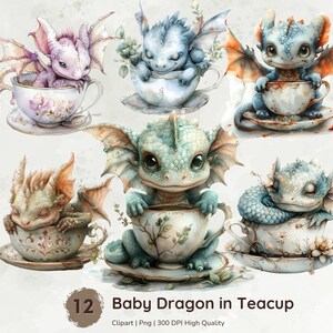 Simpatico cucciolo di drago in tazza da tè Png, Clipart drago, Clipart magico, Png drago, Clipart favola, Grafica drago, Pacchetto clipart fantasy