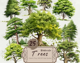 Clipart di alberi ad acquerello, clipart foresta, alberi di pino Png, quercia, alberi di foresta di pini, singoli alberi, clipart verde, download digitale