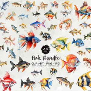 Fish Clipart Bundle, Freshwater Fishing Clipart, Fish Png, Watercolor Fish Graphics, Fish Species Images, Commercial Use, Digital Download