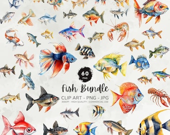 Fish Clipart Bundle, Freshwater Fishing Clipart, Fish Png, Watercolor Fish Graphics, Fish Species Images, Commercial Use, Digital Download