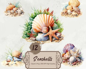 Akvarell snäckskal Clipart, snäckskal png, nautisk clipart, havsklipart, undervattensklipart, havsliv, sommarklipart, strand png