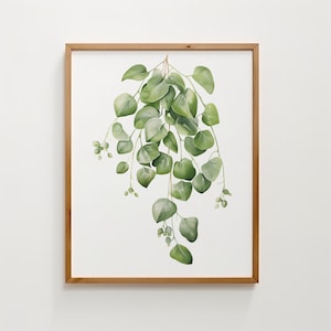Hoya Pflanze Aquarell digitale Kunst, Wandkunst, Pflanzendruck, Posterdruck, digital druckbar