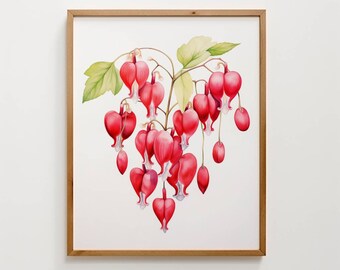 Bleeding heart flower watercolor digital art, wall art, plant print, poster print, digital printable