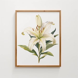 White lily flower watercolor digital art, wall art, plant print, poster print, gift