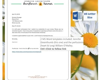 3 Professional Letterhead Templates for MS  Word, Custom Business or Personal Stationary, Simple and Easy Design, Personalized Letters, DIY