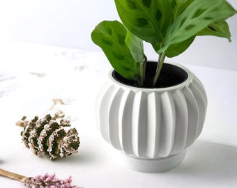 Modern Planter Pot, Modern Planter Pots, 3D printed, Home and Office Decor