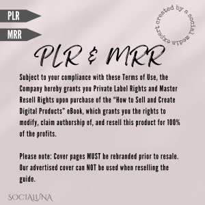 PLR MRR the First Month of Digital Marketing Ebook Master Resell Rights ...