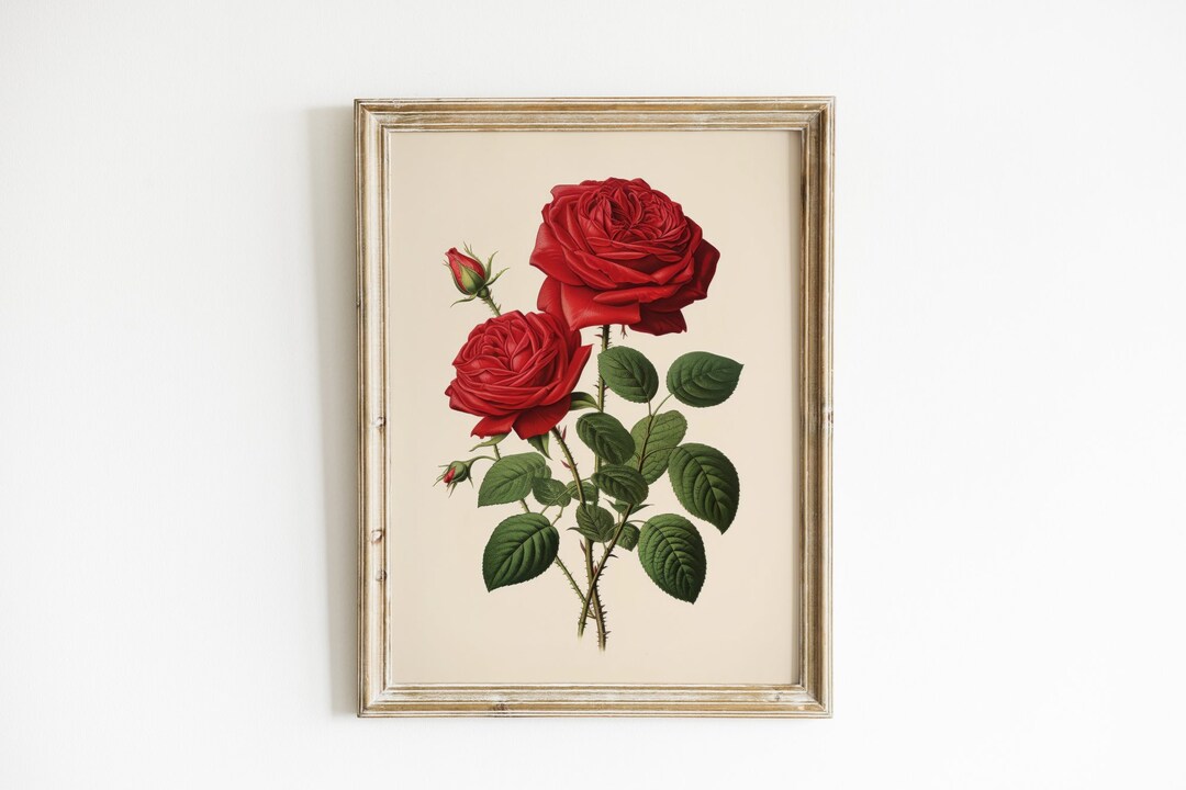 Red Roses Botanical Print, Floral Wall Art (digital Download) - Etsy