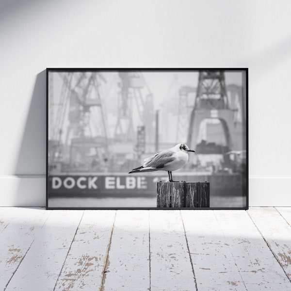 Poster | Dock mit Möwe | Hamburger Hafen