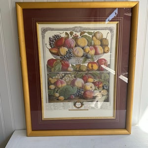 Vintage Twevle Months of Fruit Large Framed Print SEPTEMBER Fruit