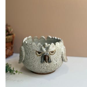May include: A ceramic owl planter in a light gray color with detailed feather patterns. The owl has a stern expression with brown eyes and a dark beak. The rim of the planter has a scalloped edge.