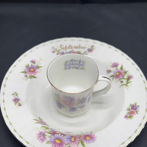 Royal Albert Bone China Flower of the Month September Bowl & Duchess September Teacup – Michaelmas Daisies