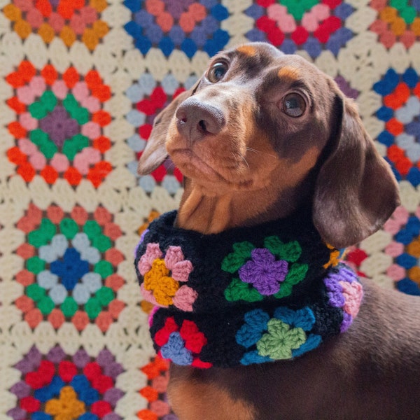 Granny Square Crochet Dog Snood