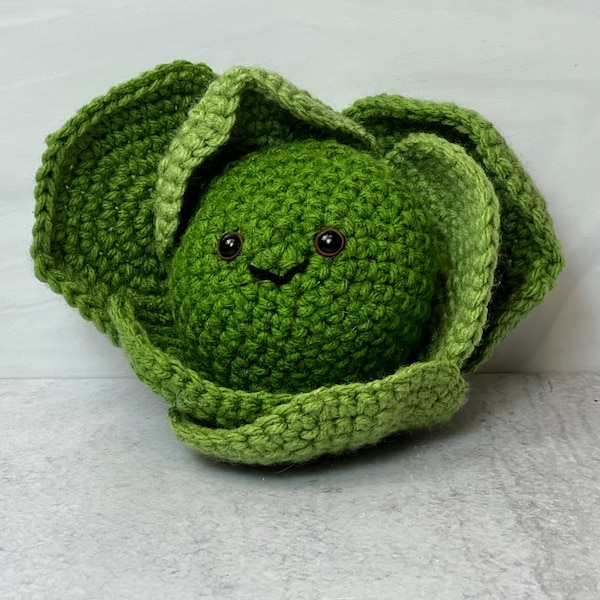 Crochet Head of Lettuce