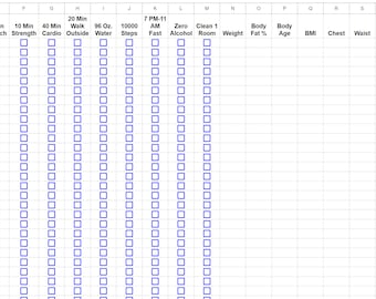 May include: A spreadsheet with a checklist for daily and weekly goals. The spreadsheet includes columns for 6:30 AM, 5 Min Stretch, 10 Min Strength, 40 Min Cardio, 20 Min Walk Outside, 96 Oz. Water, 10000 Steps, 7 PM-11 AM Fast, Zero Alcohol, Clean 1 Room, Body Weight, Body Fat %, Body Age, BMI, Chest, Waist, Hips, Daily Points, Weekly Points, and Year-to-Date.