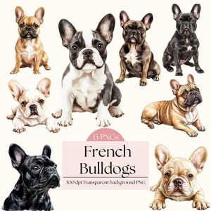 Französische Bulldoggen Clip Art Bundle Hunde Clipart PNG Sammlung Aquarell Hund Geburtstag Hund Foto Geschenk für Hund Mama Transparente Clipart