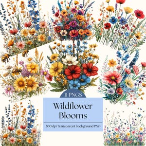 Wildflower Field Border Clipart PNG Invitation Watercolor Pastel Wildflowers Border Summer Floral Watercolor Clipart Boho Floral Clipart