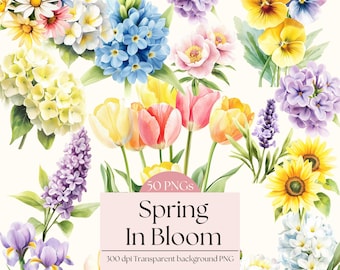 Spring Flowers Clip Art Bundle Floral Clipart PNG Collection Watercolor Boho Cottagecore Junk Journal Wedding Invitation Transparent Clipart