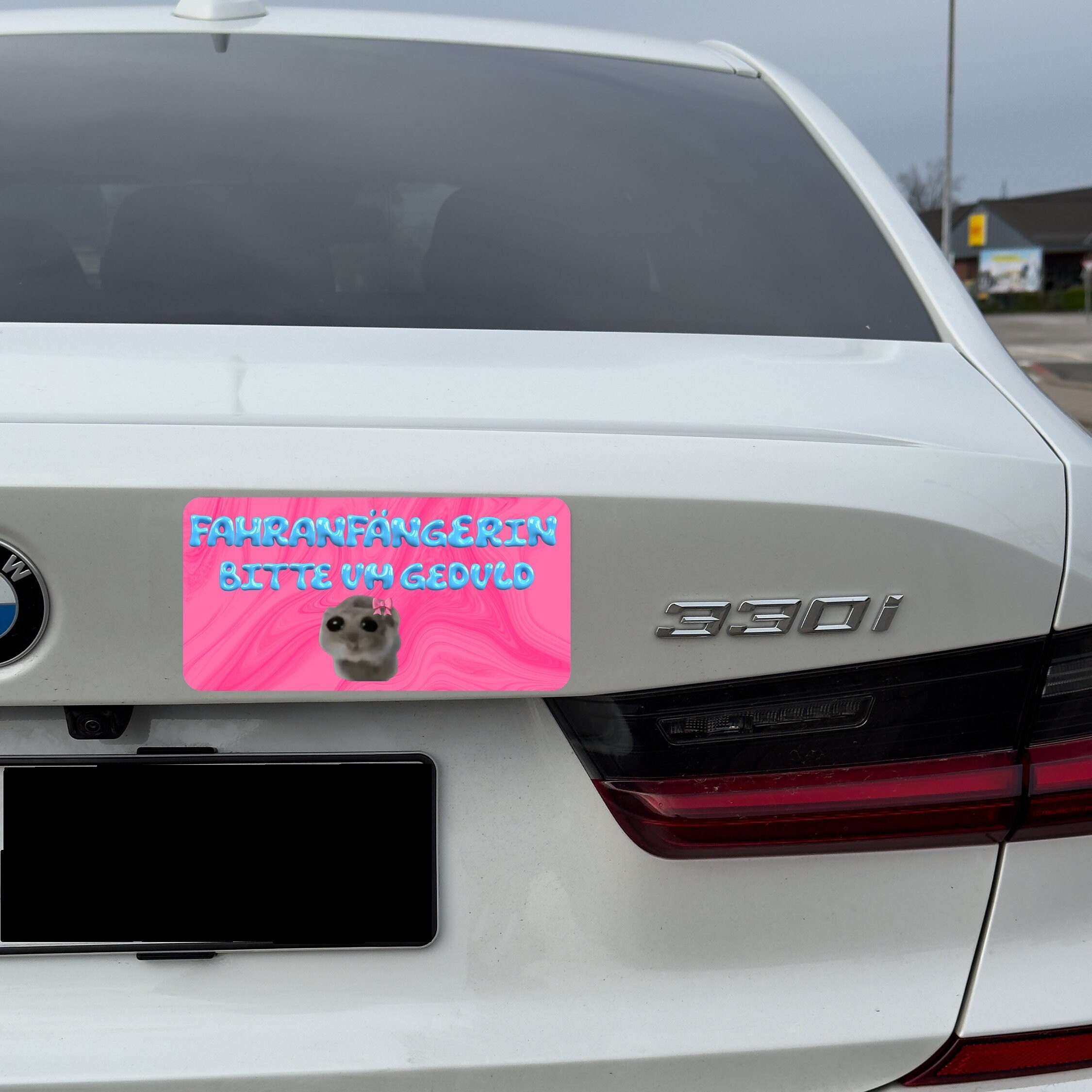 ZWWOGE Hamster Auto Aufkleber - 4 Stück Für Neue Fahrer