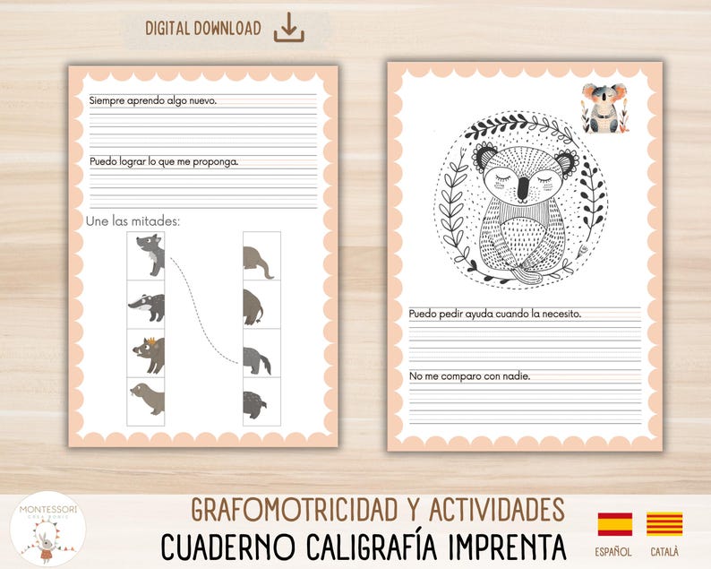 Calligraphy and Graphomotor Skills Workbook in Print. Activities for ...