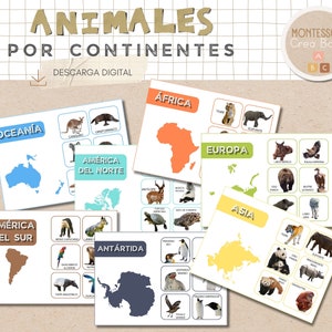 Tarjetas educativas de animales y continentes. Material Montessori. Recurso educativo. MATERIAL DESCARGABLE