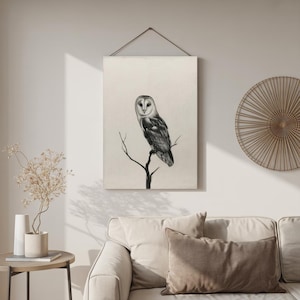 Elegant Barn Owl Illustration – Black and White Bird Art Print