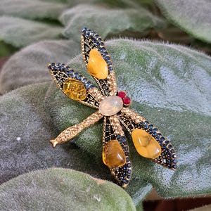 Può includere: Spilla a forma di libellula color oro con pietre ambra e trasparenti, e dettagli in cristallo blu e trasparente. Le ali della libellula sono decorate con dettagli in cristallo nero e blu. La spilla è appoggiata su una foglia verde strutturata.