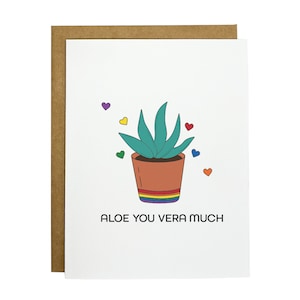 Rainbow Aloe - Etsy