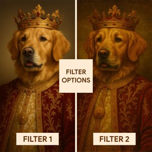 Puede incluir: Dos retratos de un Golden Retriever con una corona de oro y una t&uacute;nica real roja y dorada. El texto "FILTER OPTIONS" est&aacute; en un cuadrado blanco entre los retratos. Debajo de los retratos est&aacute;n los textos "FILTER 1" y "FILTER 2".