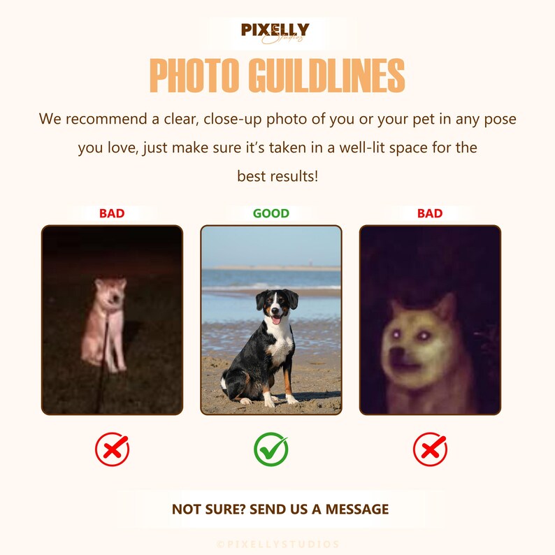 以下が含まれることがあります： 「PHOTO GUILDLINES」のテキストと、良い写真と悪い写真の例が示された画像。テキストは、最良の結果を得るために、ペットの鮮明でクローズアップした写真を明るい場所で撮影することを推奨しています。画像にはロゴと行動喚起が含まれています。