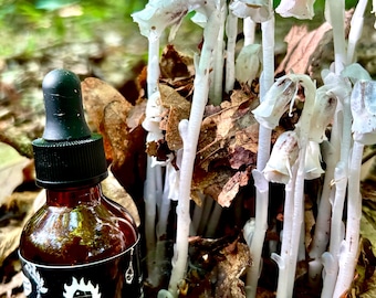 Teinture de Ghost Pipe par Barn Fire Botanicals