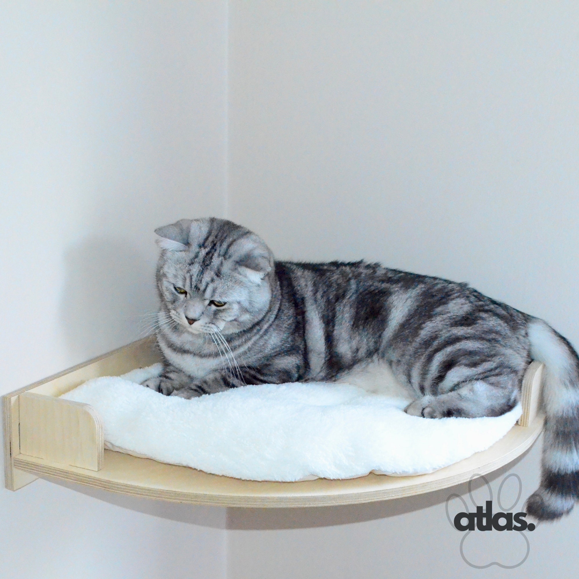 Wall Mounted Cat Bed, Cat Wall Play Furniture, Cat Shelves for Climbing ...