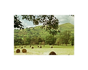 haybales | back tor | hope | lose hill | peak district | landscape | photography | fine art | wall art | print | film | analog