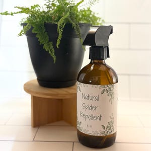 Natural Spider Repellent Spray | Non-Toxic Pest Control for Home, Safe & Handmade