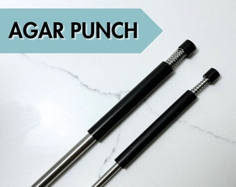 Agar Punch for Consistent and Precise Transfers