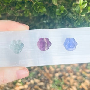 Rainbow Fluorite Mini Paw Carving