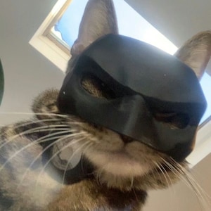 Batcat mask! Super cute mask for cats!