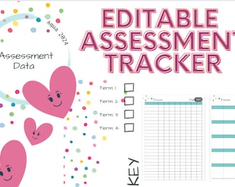 ASSESSMENT MADE EASY- polka dot assessment data booklet