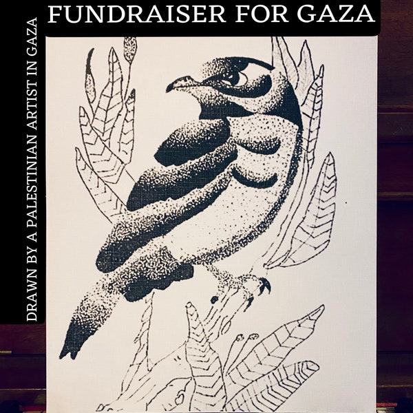 Saqr Hawk Falcon 8x10 Black & White Fine Art Print by Palestinian Muslim Artist in Gaza ~ Fundraising for Palestinians ~ Free Palestine