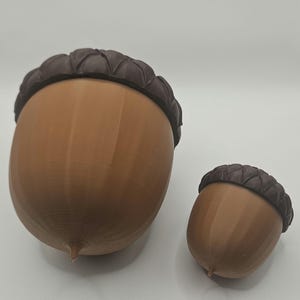 Acorn MTG Commander Deck boxes: (Colored) | 100 Cards