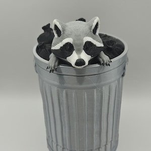 Racoon in a trash can  (Colored) | 100 Cards