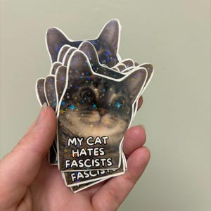 Holo Anti Faschismus My Cat Hates Faschisten Glow in the Dark Vinyl Sticker 7,5 x 5,5 cm